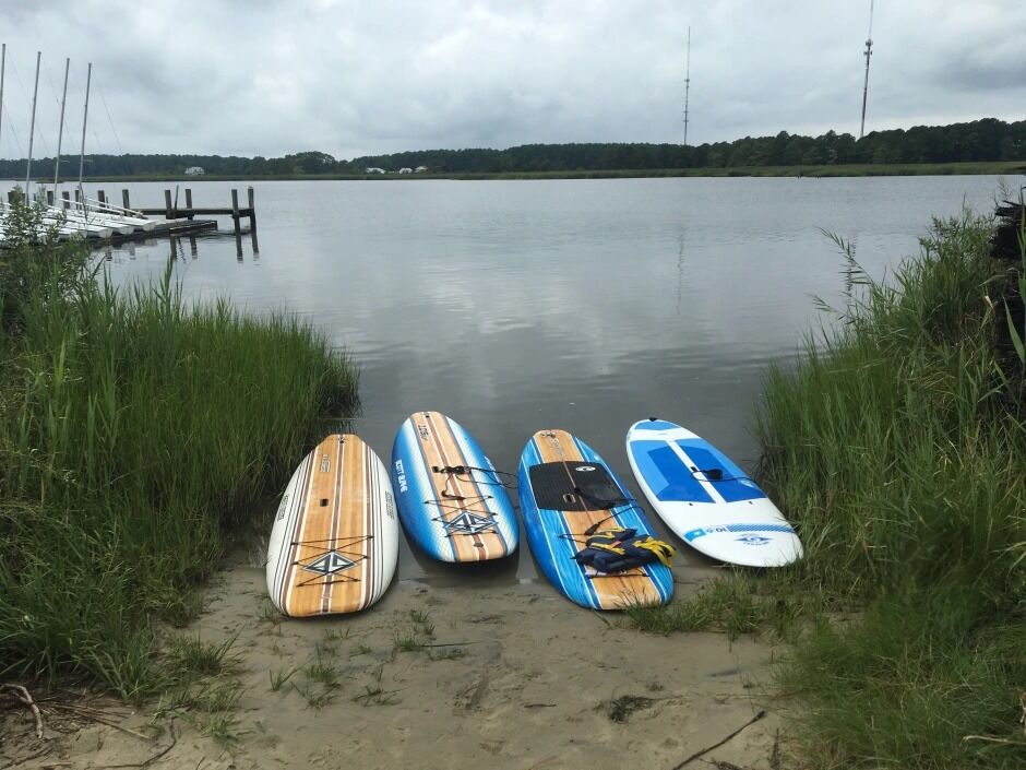 Picture of Dragonfly Paddle And Fitness