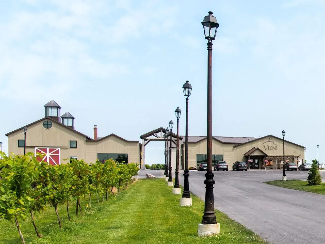 Picture of Vieni Estates Inc
