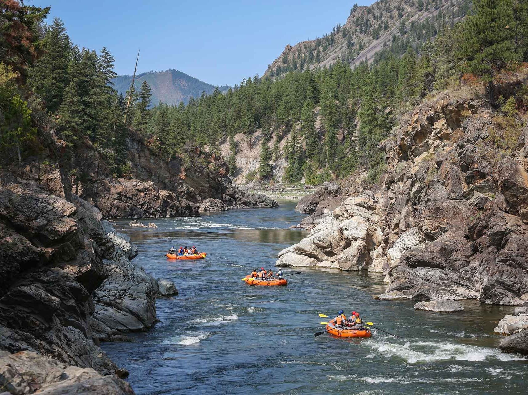 Picture of Whitewater Rafting - Zoo Town Surfers