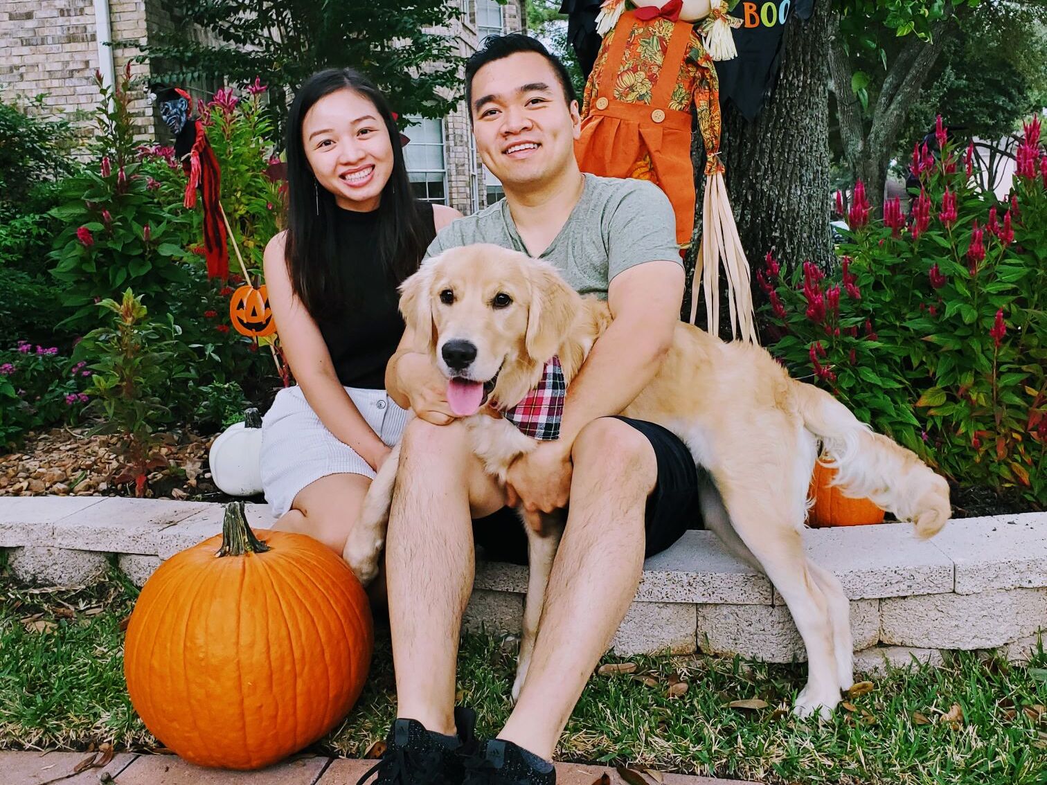 Picture of Mochi's First Halloween 