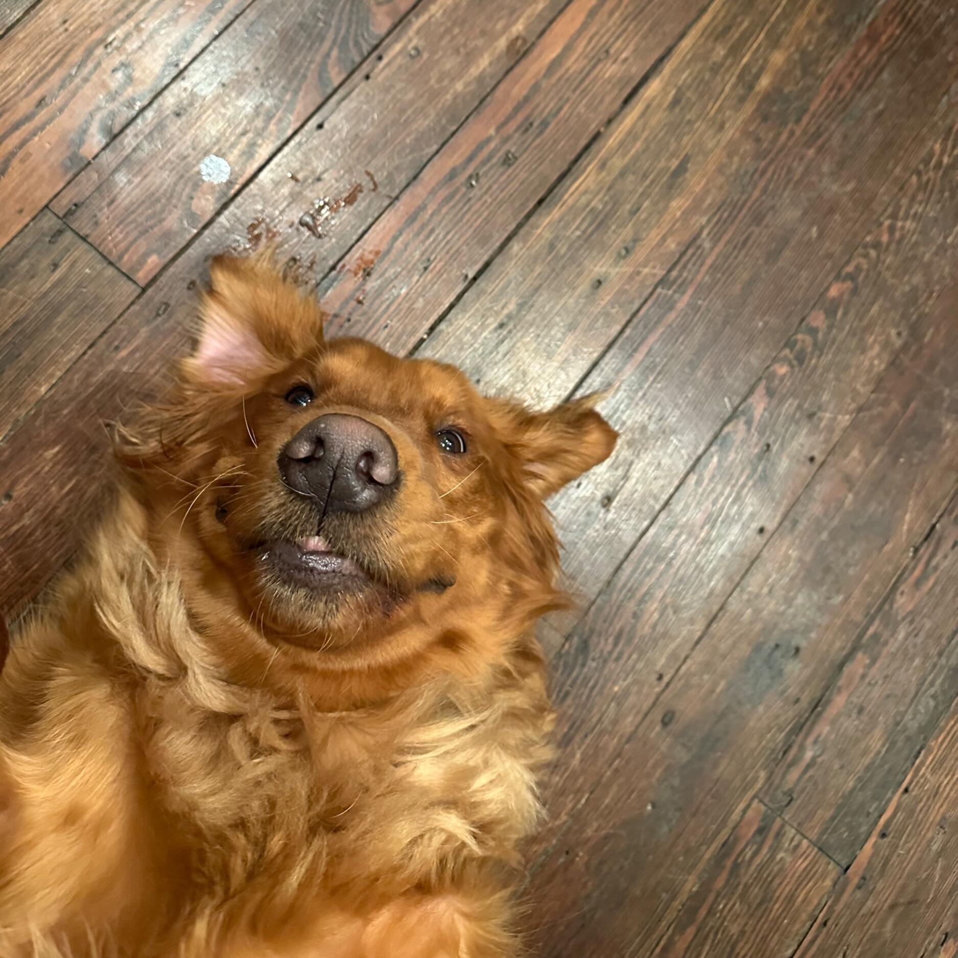 Finnegan