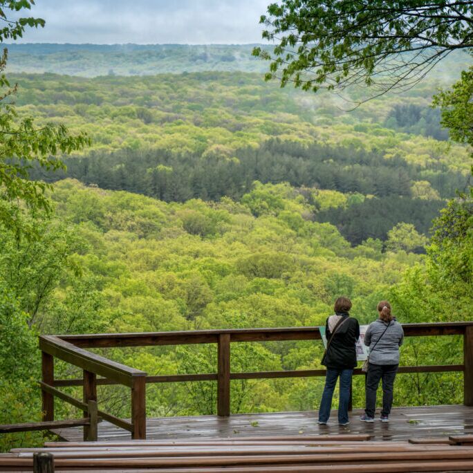 Picture of Brown County State Park