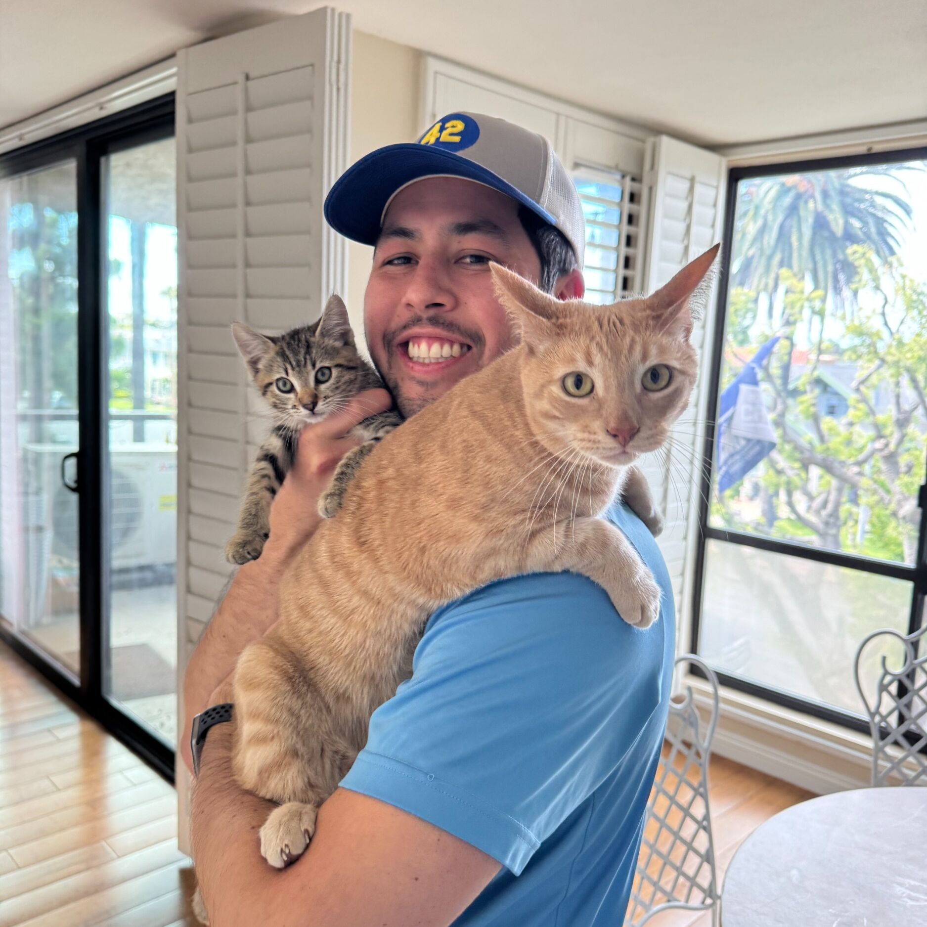 Picture of The Cats Also Take Our Money