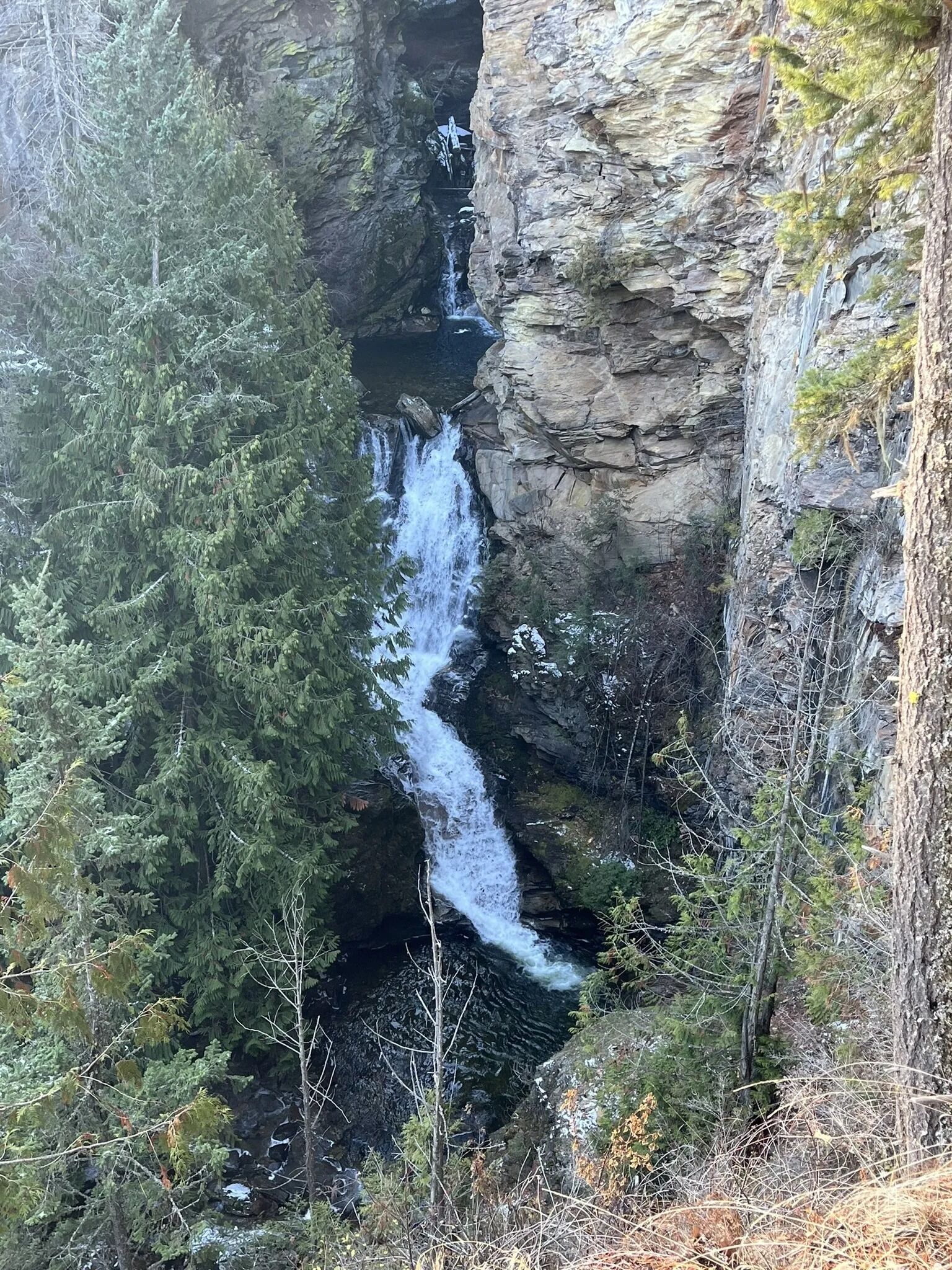 Picture of Myrtle Falls Trail