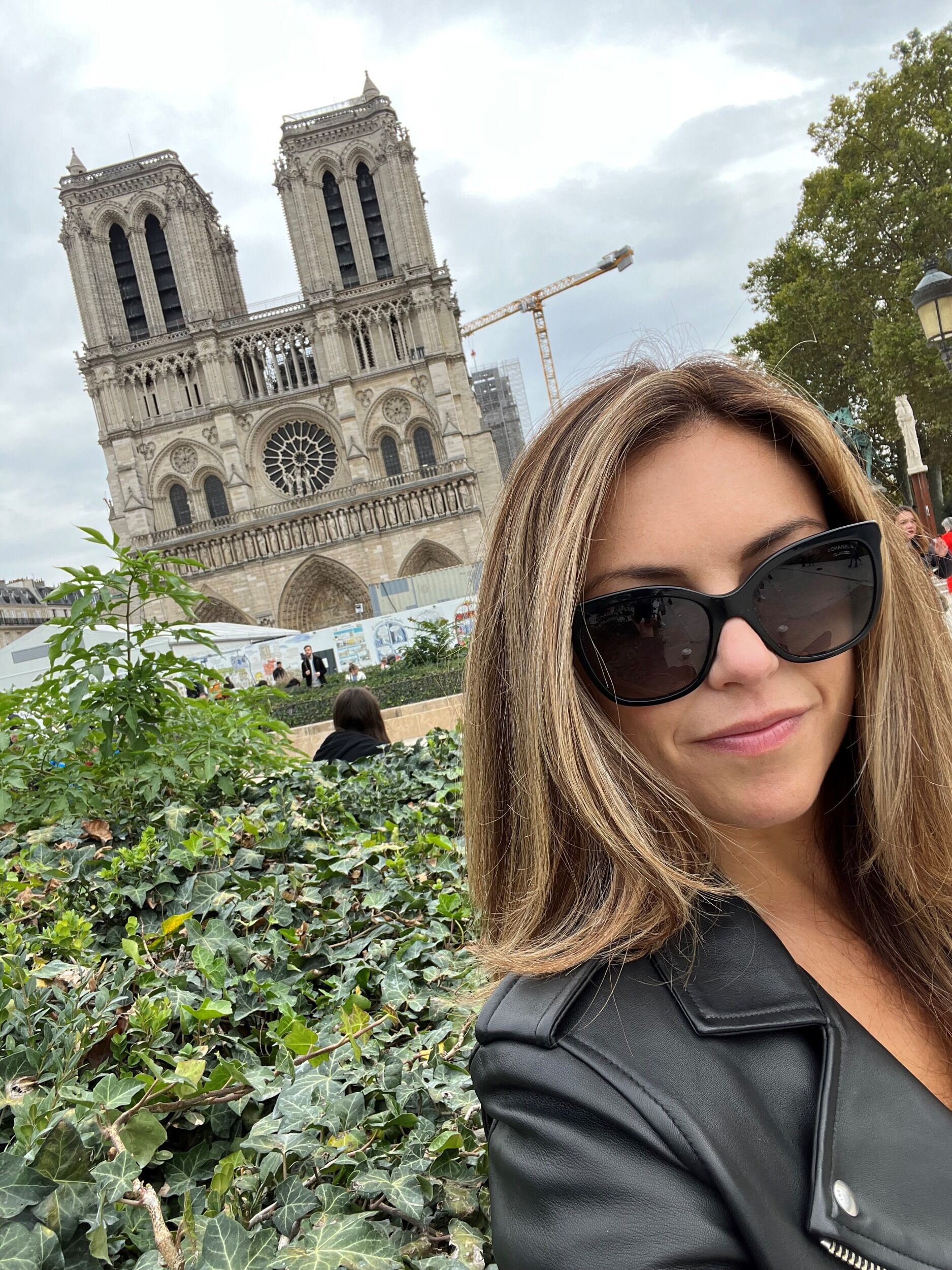 Picture of Notre-Dame de Paris
