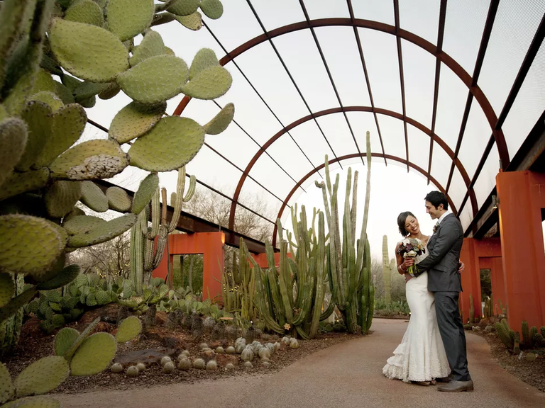 Surrounded by cactuses at Desert Botanical Garden in Phoenix, Arizona