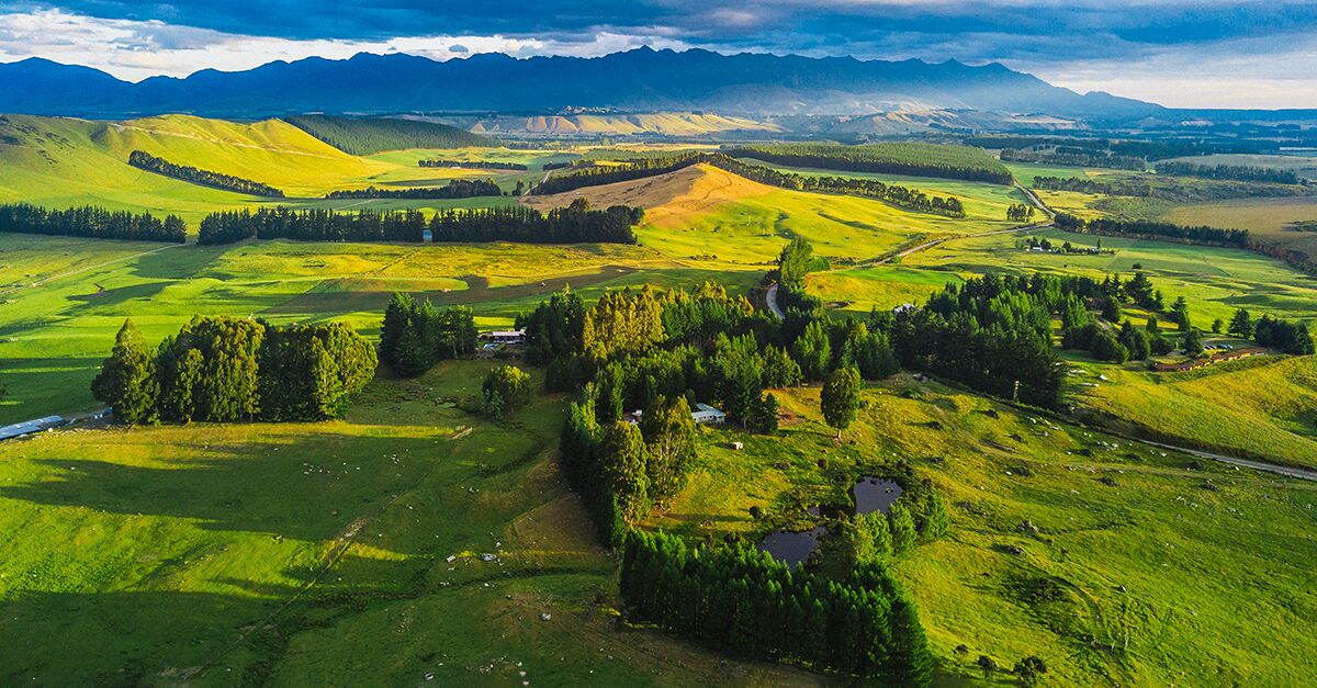 The Ultimate Guide to a New Zealand Honeymoon in Auckland
