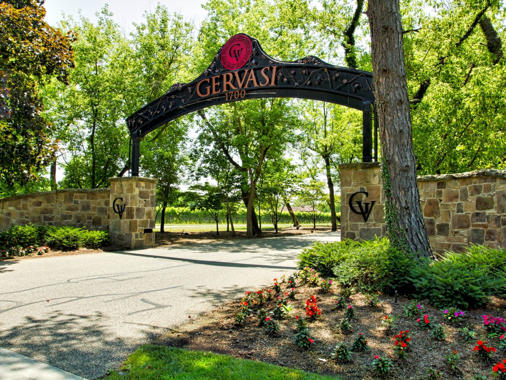 Picture of Gervasi Vineyard