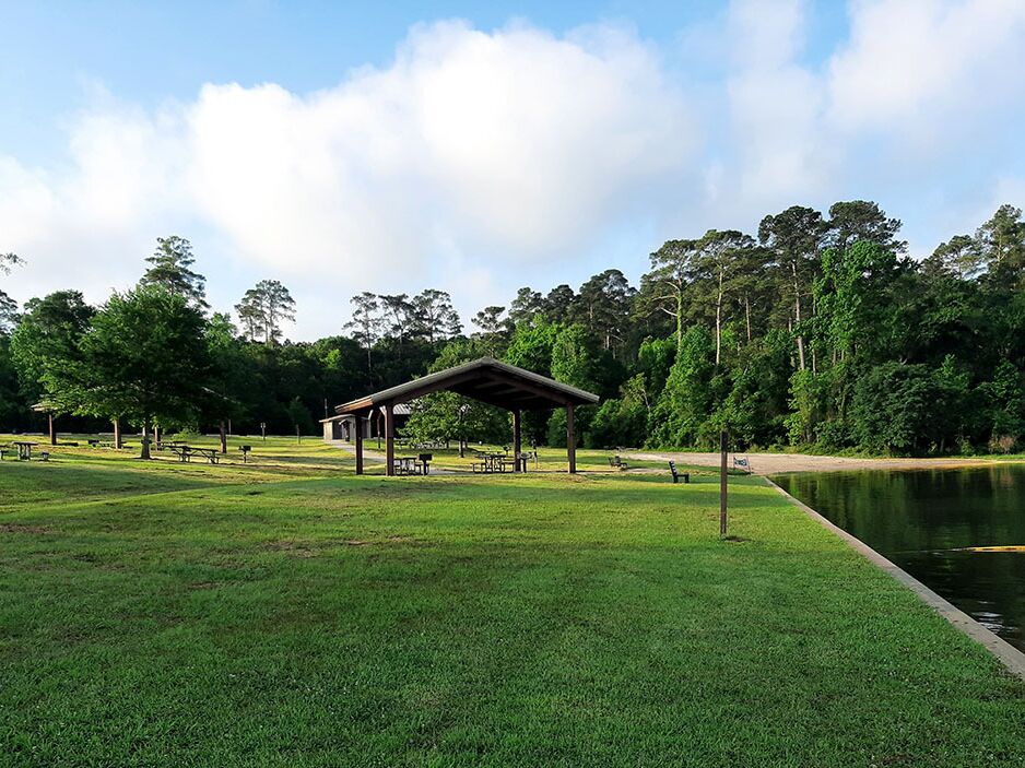 Picture of Scotts Ridge Swim Area
