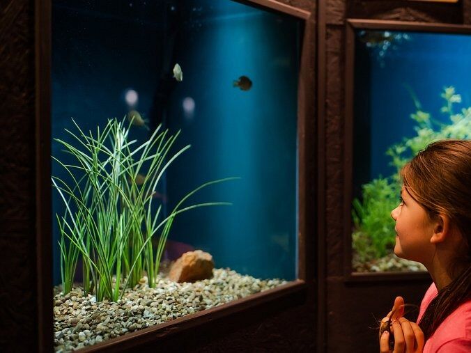 Picture of Medicine Park Aquarium and Natural Sciences Center