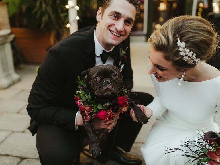 winter wedding ideas dog outfit