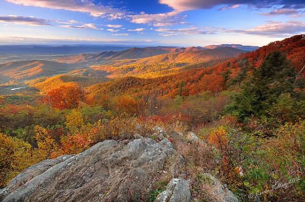 Picture of Shenandoah National Park