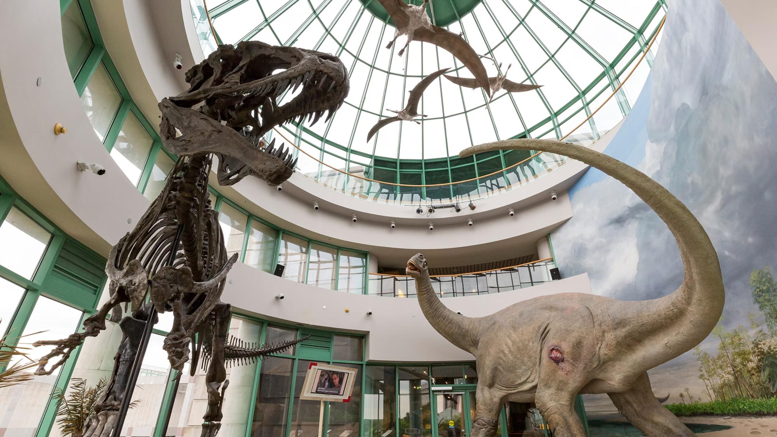 Picture of North Carolina Museum of Natural Sciences