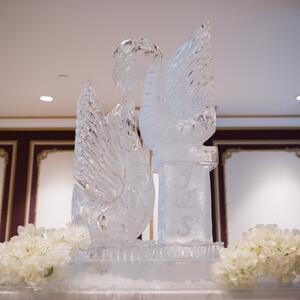 Gallery Photo 43