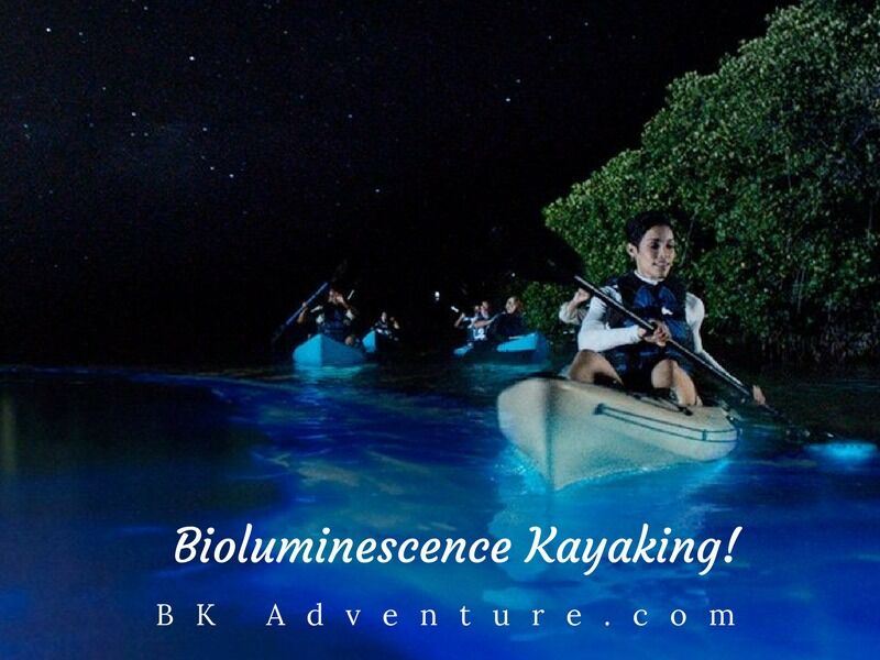 Picture of Bioluminescence Kayak Tours