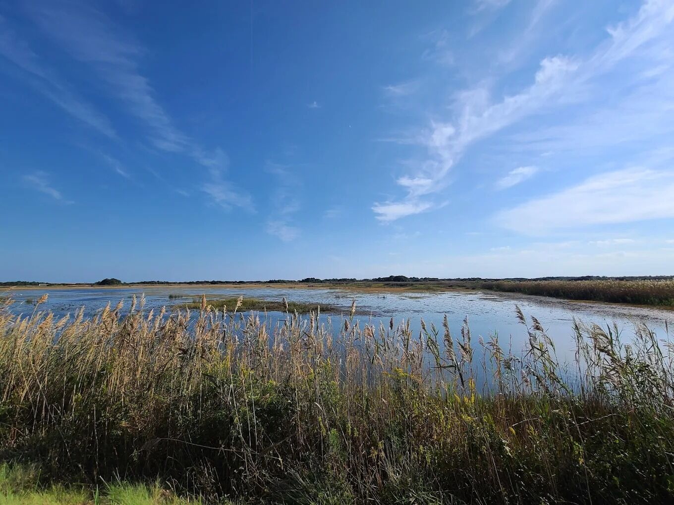 Picture of Back Bay National Wildlife Refuge