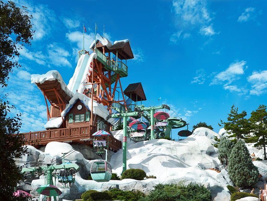 Picture of Disney's Blizzard Beach Water Park