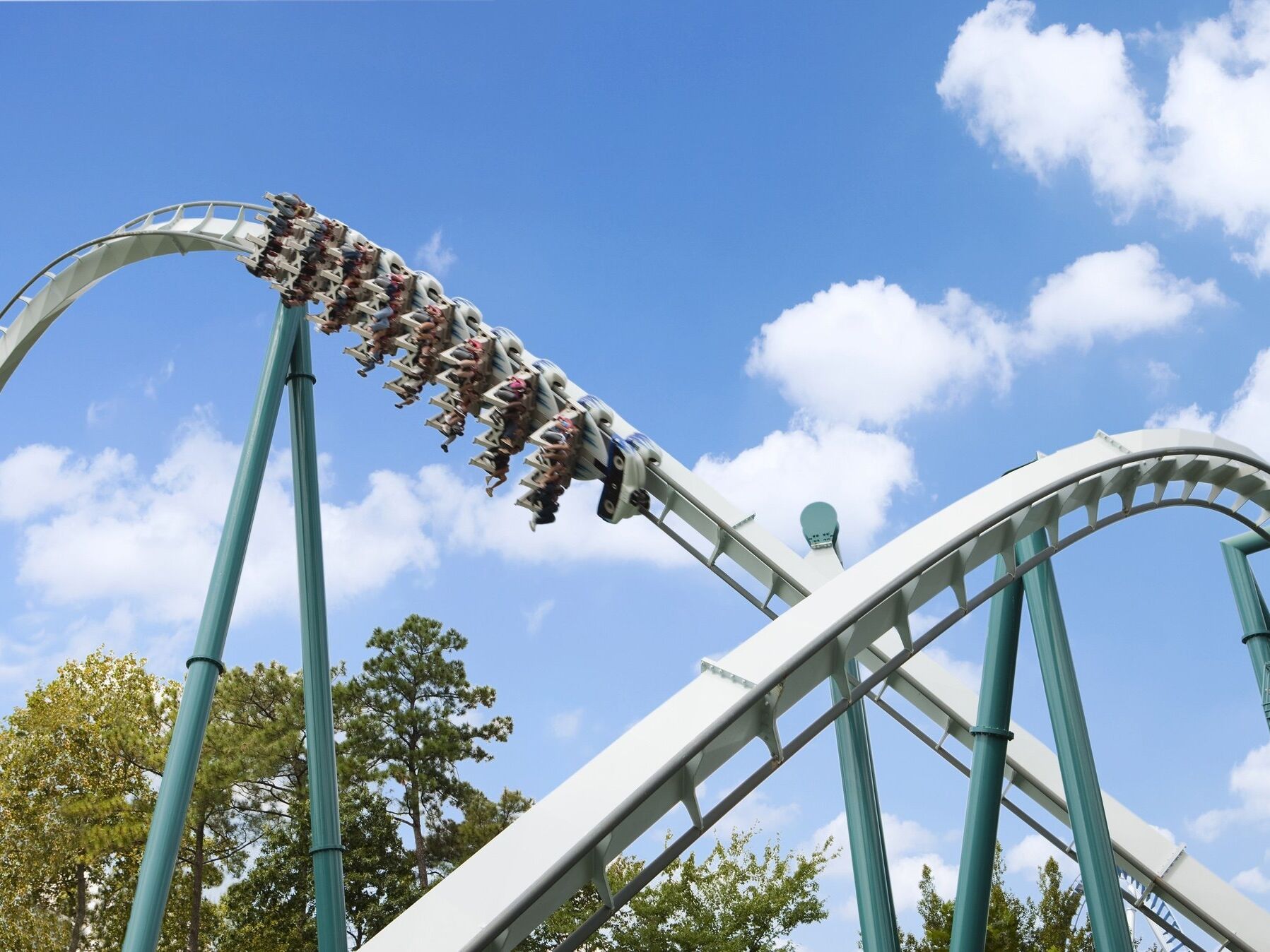Picture of Busch Gardens Tampa Bay