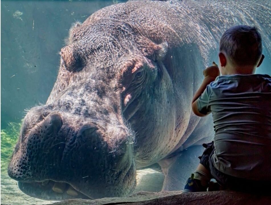 Picture of Milwaukee County Zoo