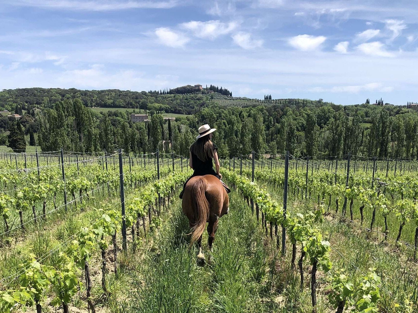 Picture of Sonoma Valley Trail Rides