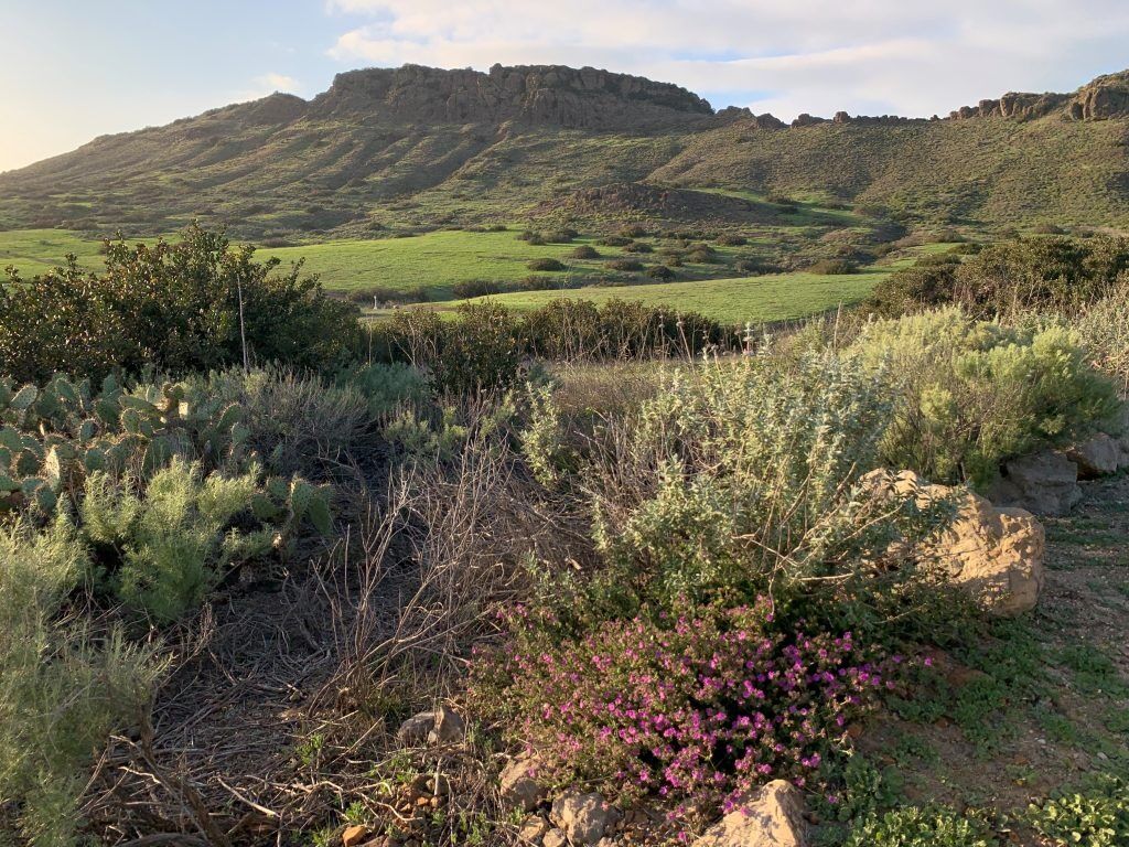 Picture of Wildwood Regional Park