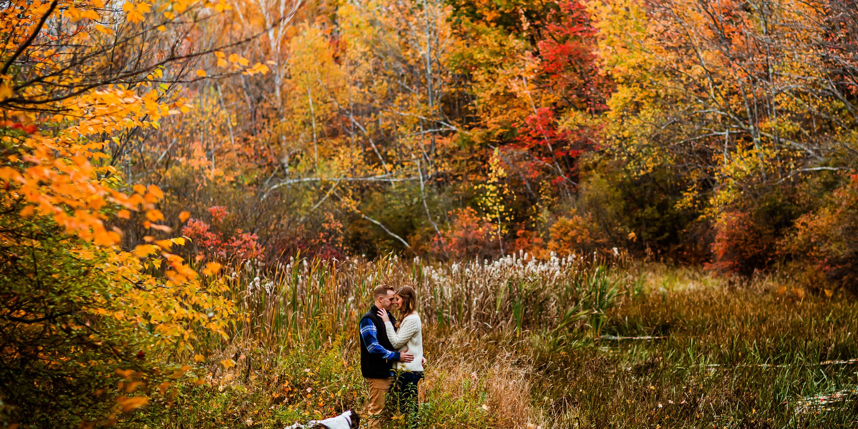 Taylor & Evan Home Page Banner