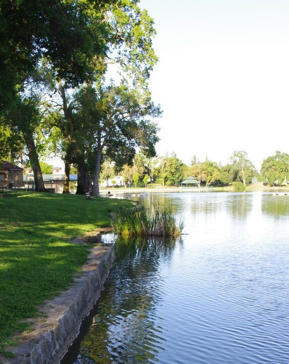 Picture of Lodi Lake Nature Trail 