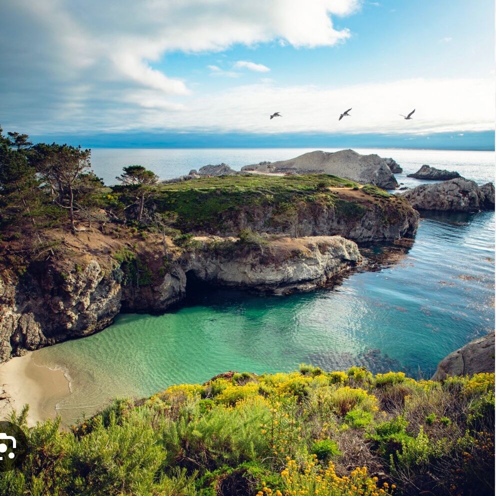 Picture of Point Lobos State Natural Reserve