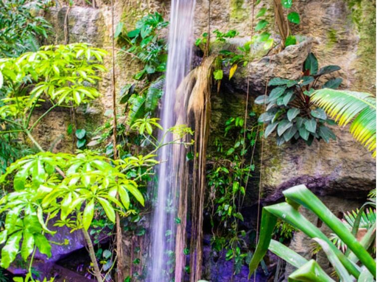 Picture of The Dallas World Aquarium