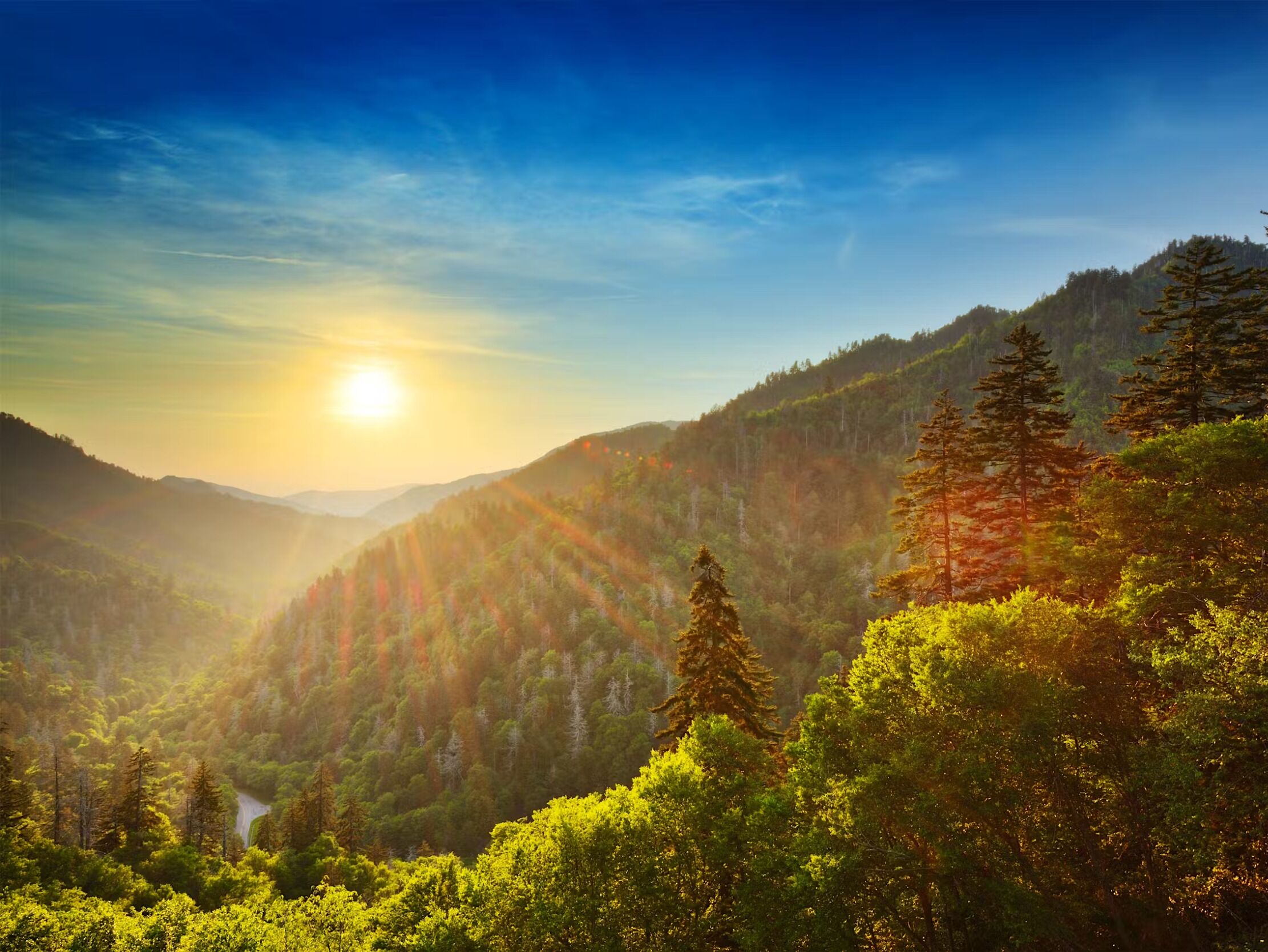 Picture of Great Smoky Mountains National Park