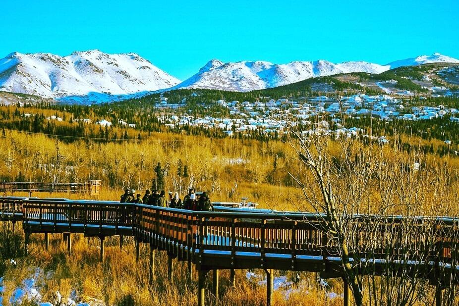 Picture of Potter Marsh Wildlife Viewing Boardwalk