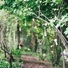 A Vintage Bohemian Backyard Wedding at a Private Residence in Shaker Heights, Ohio