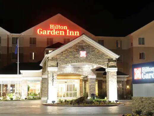Picture of Hilton Garden Inn New Braunfels 