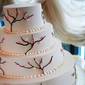 The Cake
