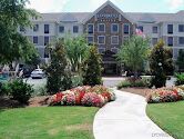 Picture of Homewood Suites- Eastchase
