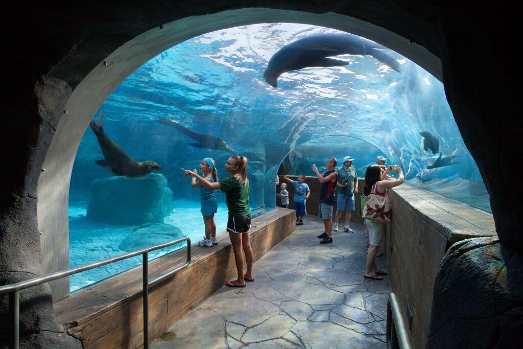 Picture of Saint Louis Zoo