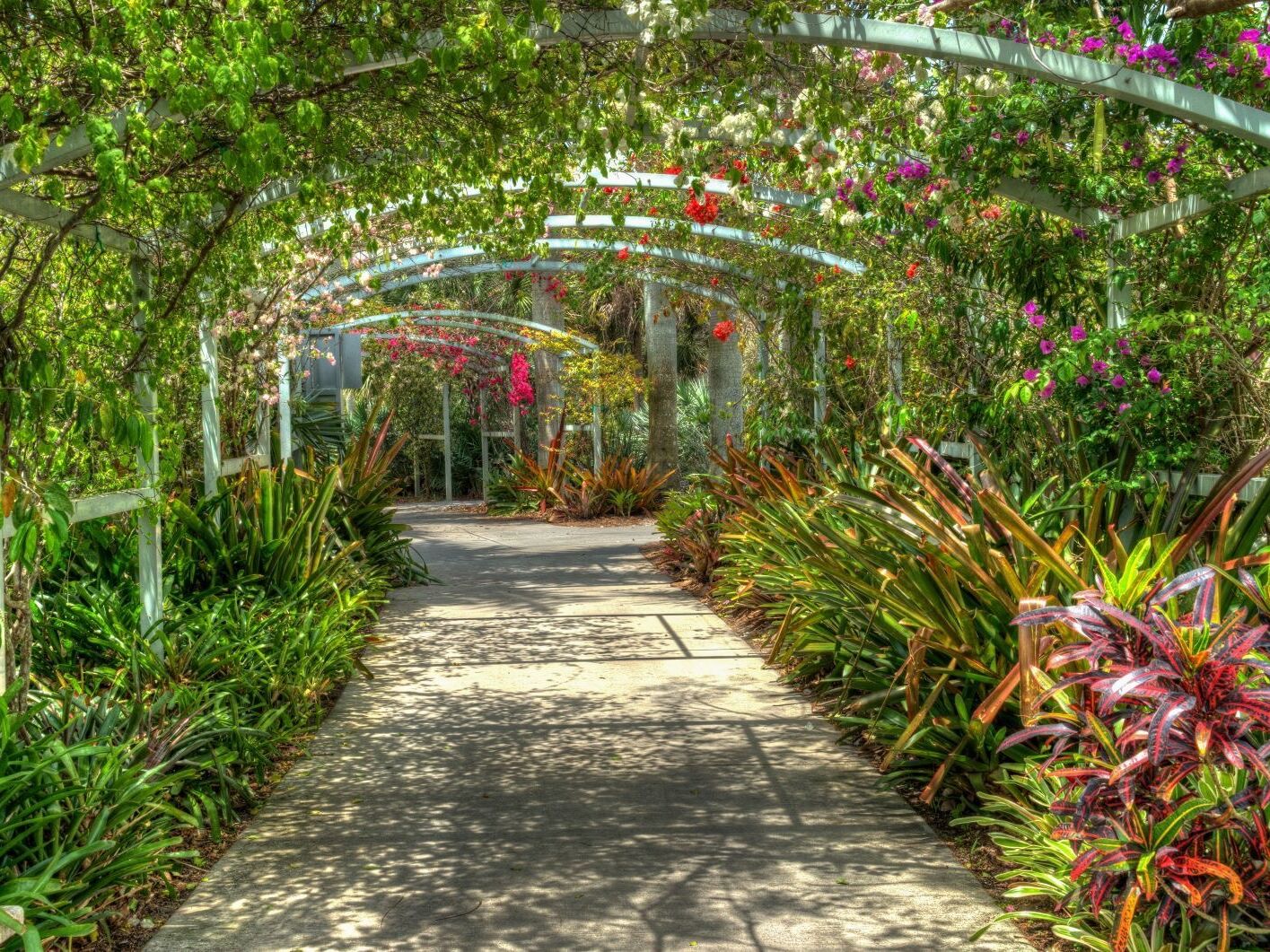 Picture of Naples Botanical Garden