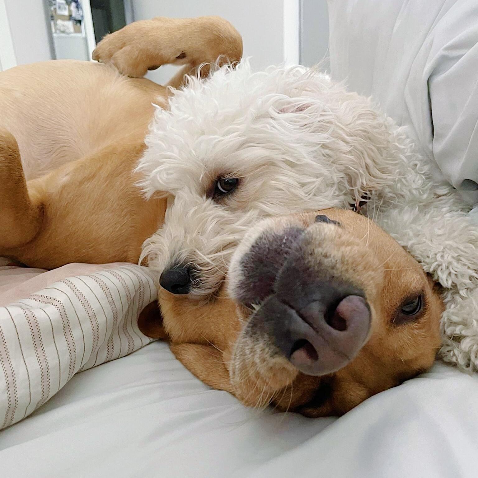 Zeke & Wrigley