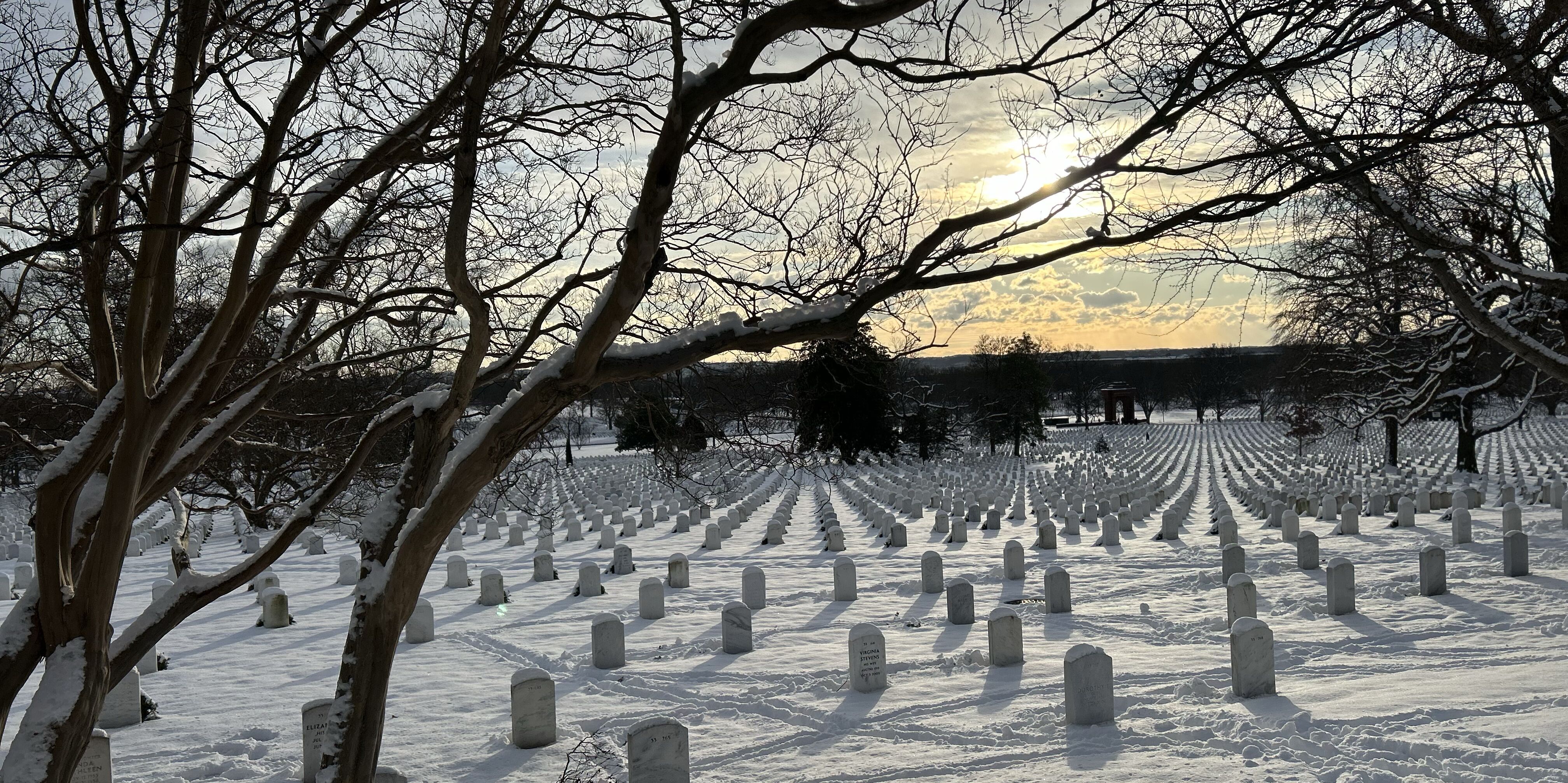 Picture of Arlington: Cemetary And Memorial Bridge