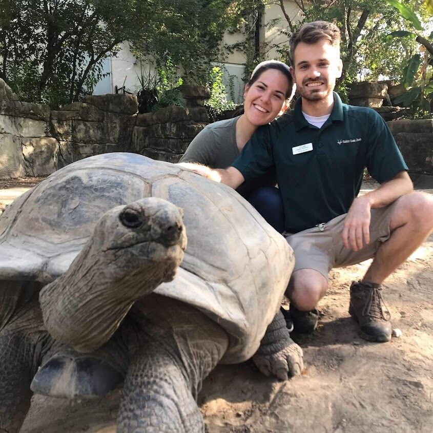 Picture of Saint Louis Zoo
