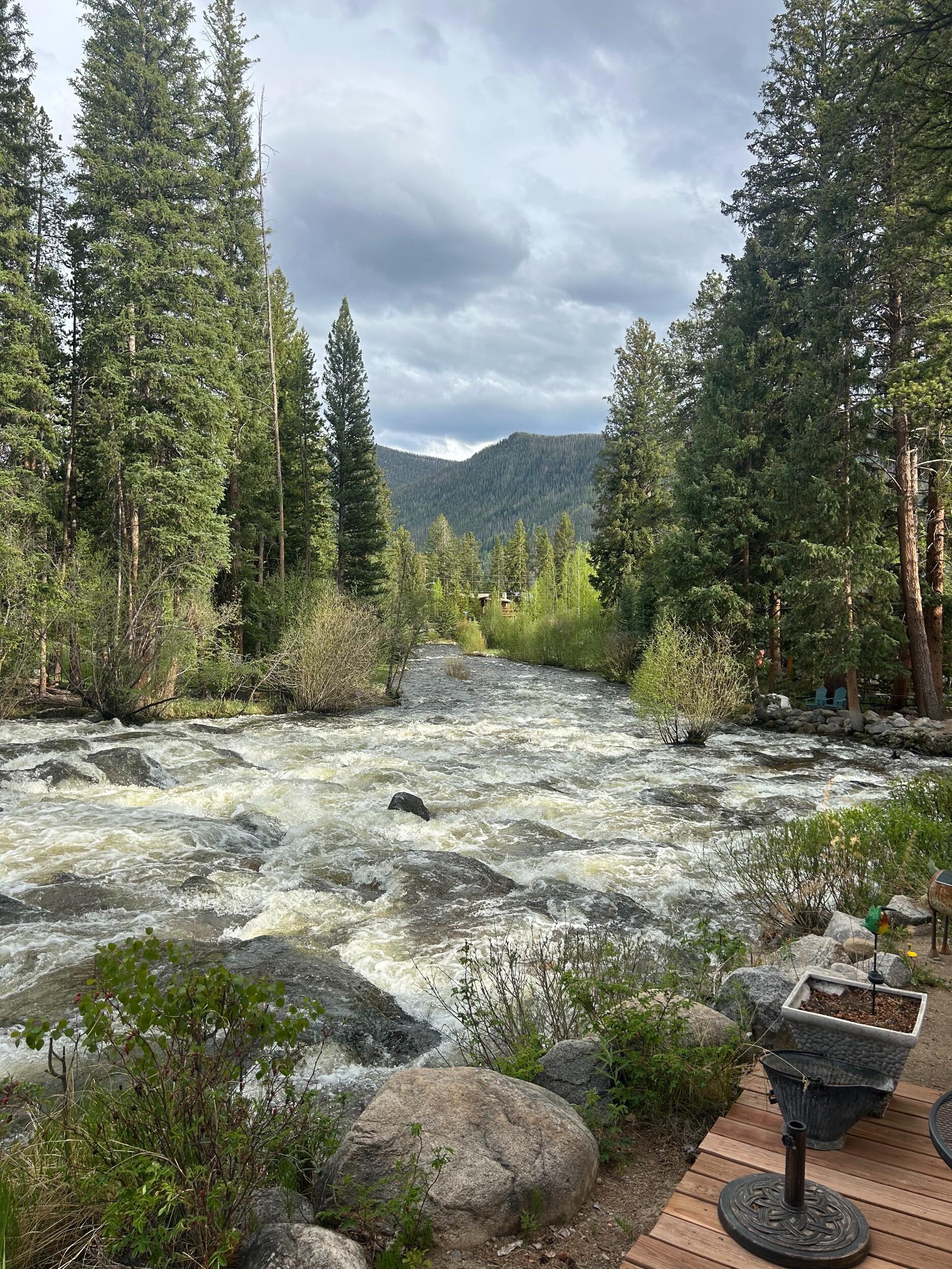 Picture of Fly Fishing