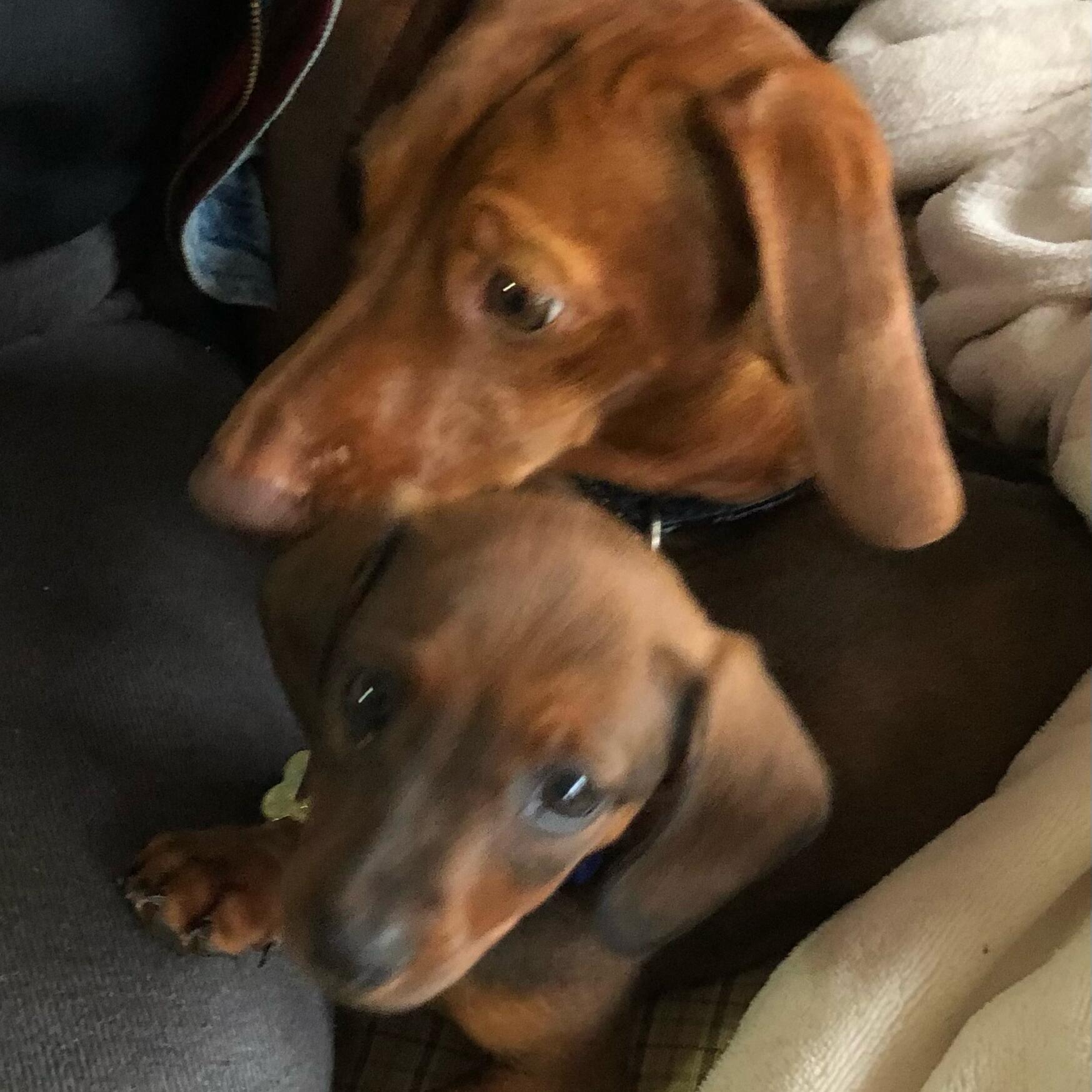 Gus and Bernie