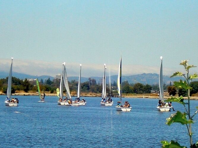 Picture of Shoreline Lake Park