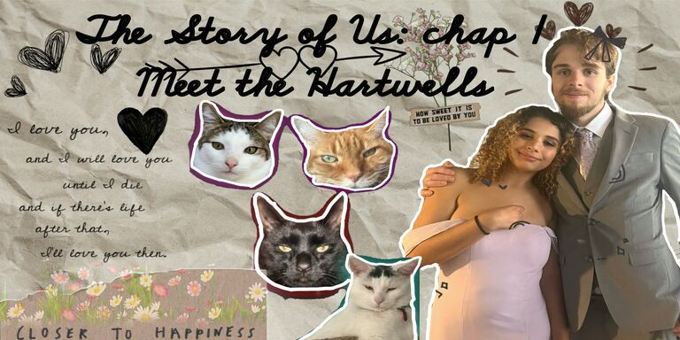 Shaina & Robert Home Page Banner
