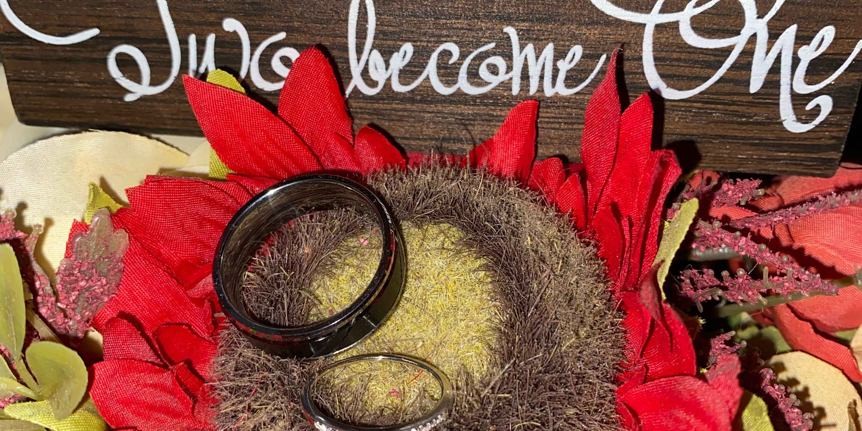 Michaela & James Home Page Banner