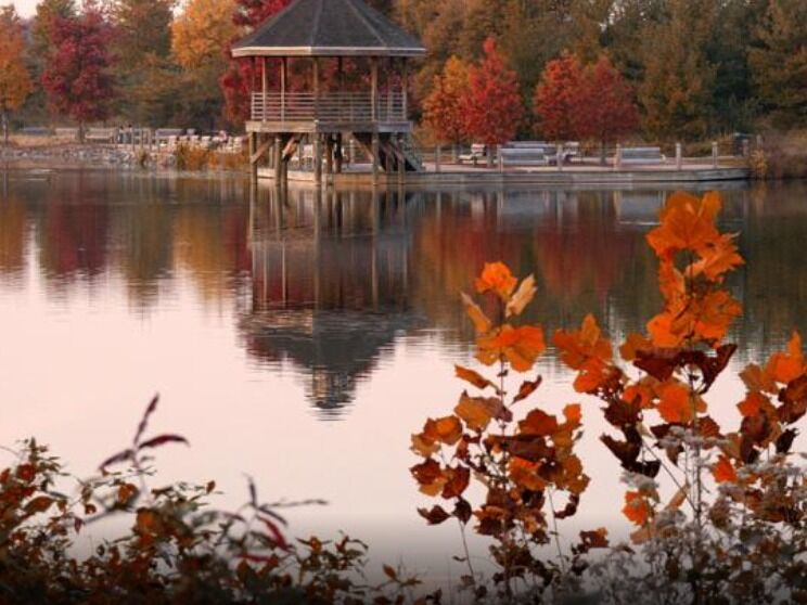Picture of Lake Artemesia Natural Area