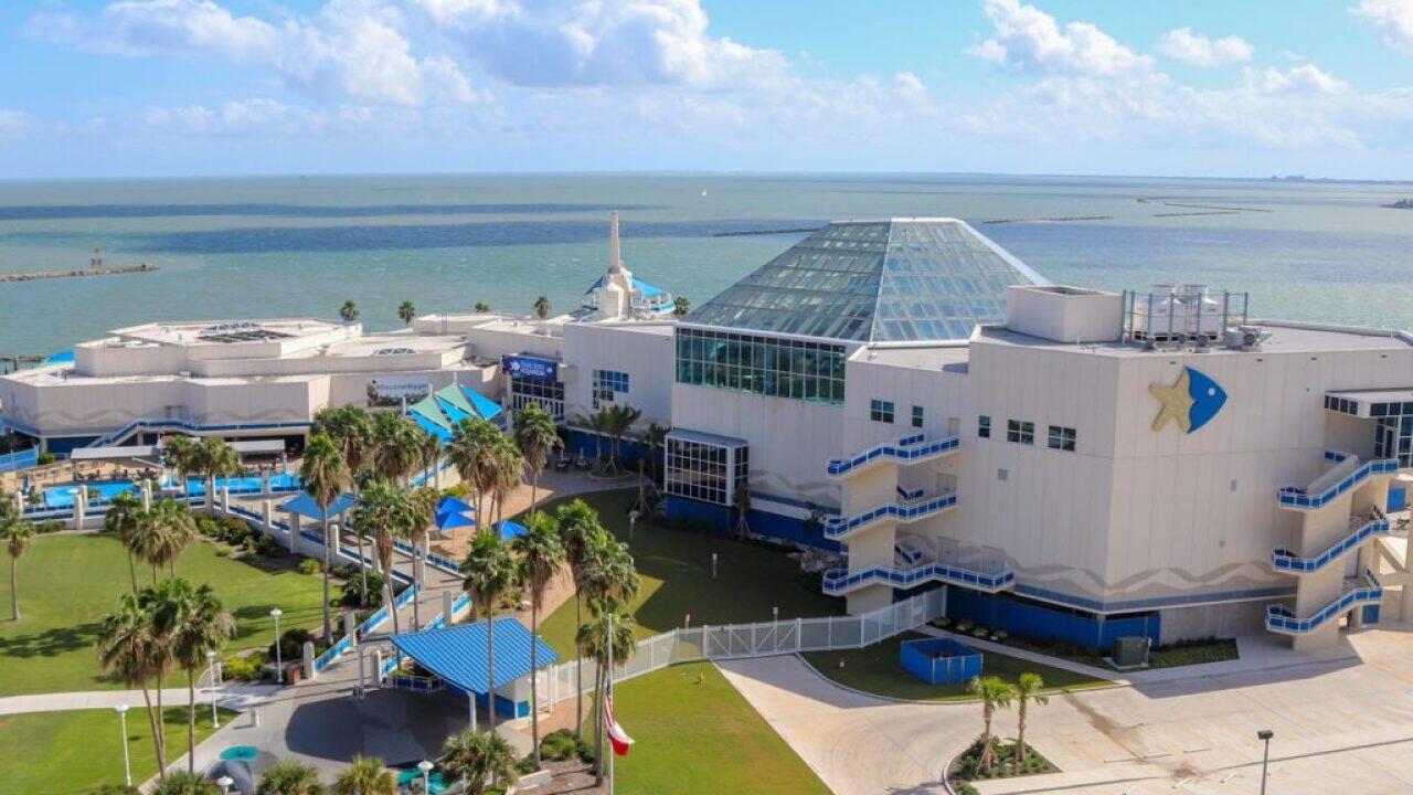 Picture of Texas State Aquarium