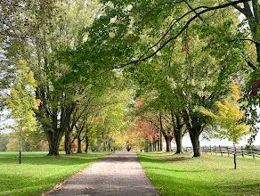 Picture of Knox Farm State Park