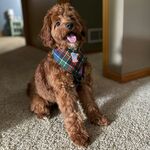 Rosie