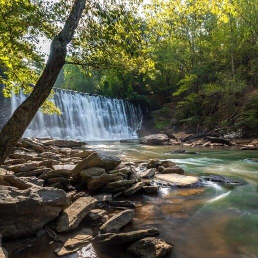Picture of Vickery Creek Trail